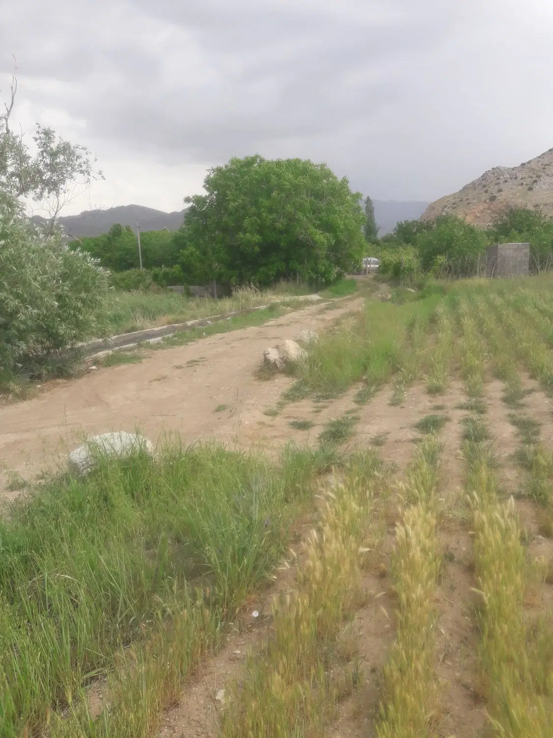زمین ۴۰۰ متری در میانکوه (فیض آباد)