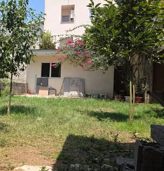 زمین ۳۰۰ متر دو کله سند تک برگ