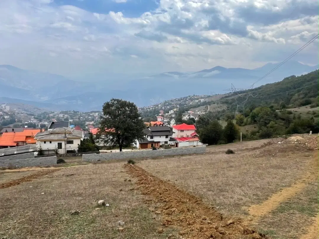 زمین ۳۲۴ متری کلاردشت بنفشده