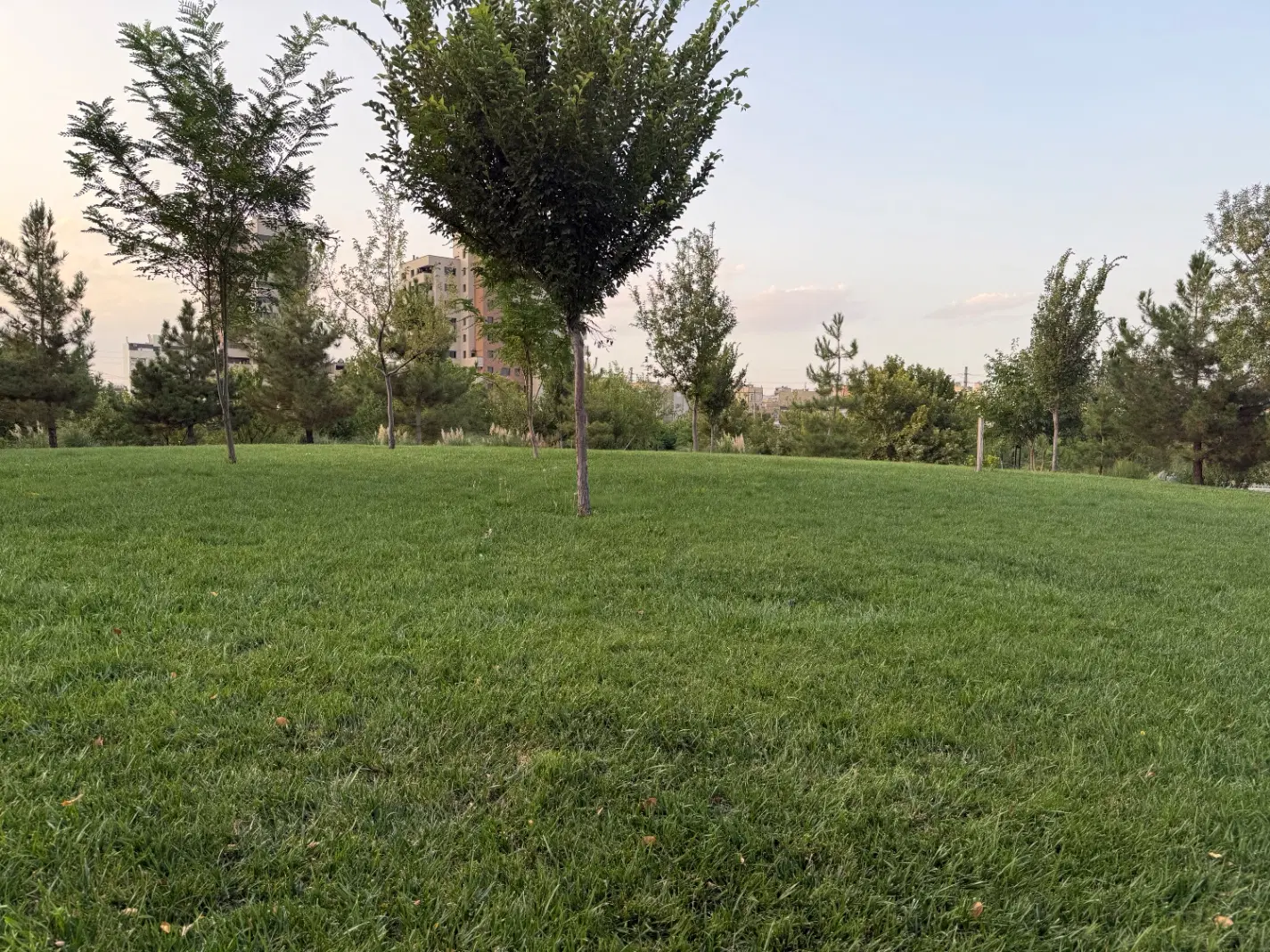 فروش زمین در پیرنج