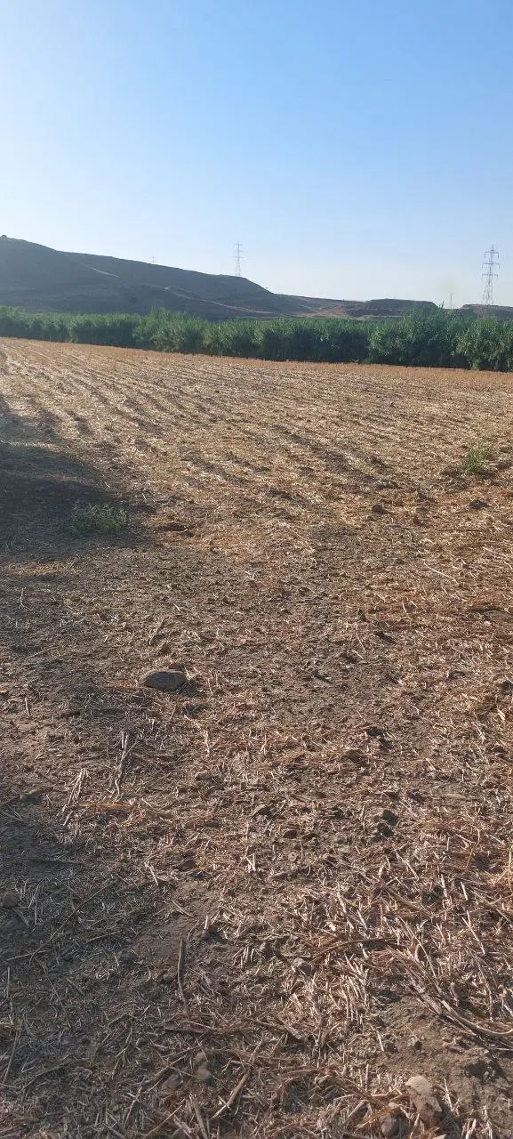 زمین زراعی آبی و دیم در آب باریک دیره