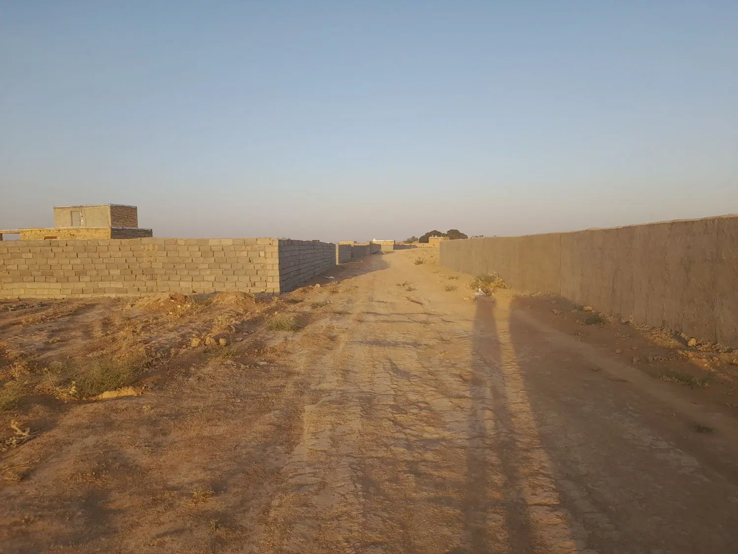 زمین باغی