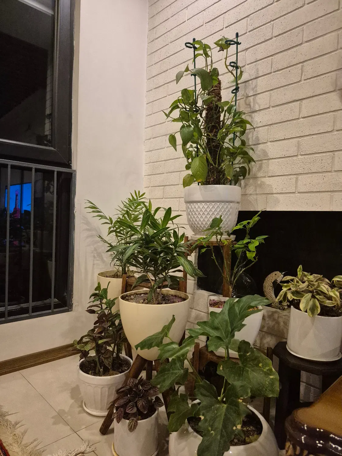 رهن کامل آپارتمان ۳ خواب تک واحدی جنوبی شمالی