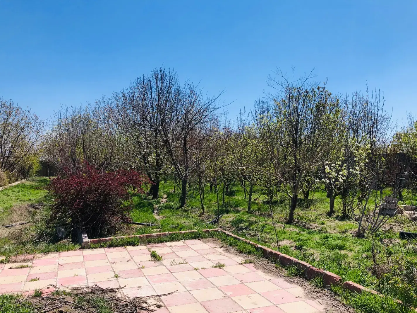 230متر زمین چهاردیواری ملک اباد چهارباغ