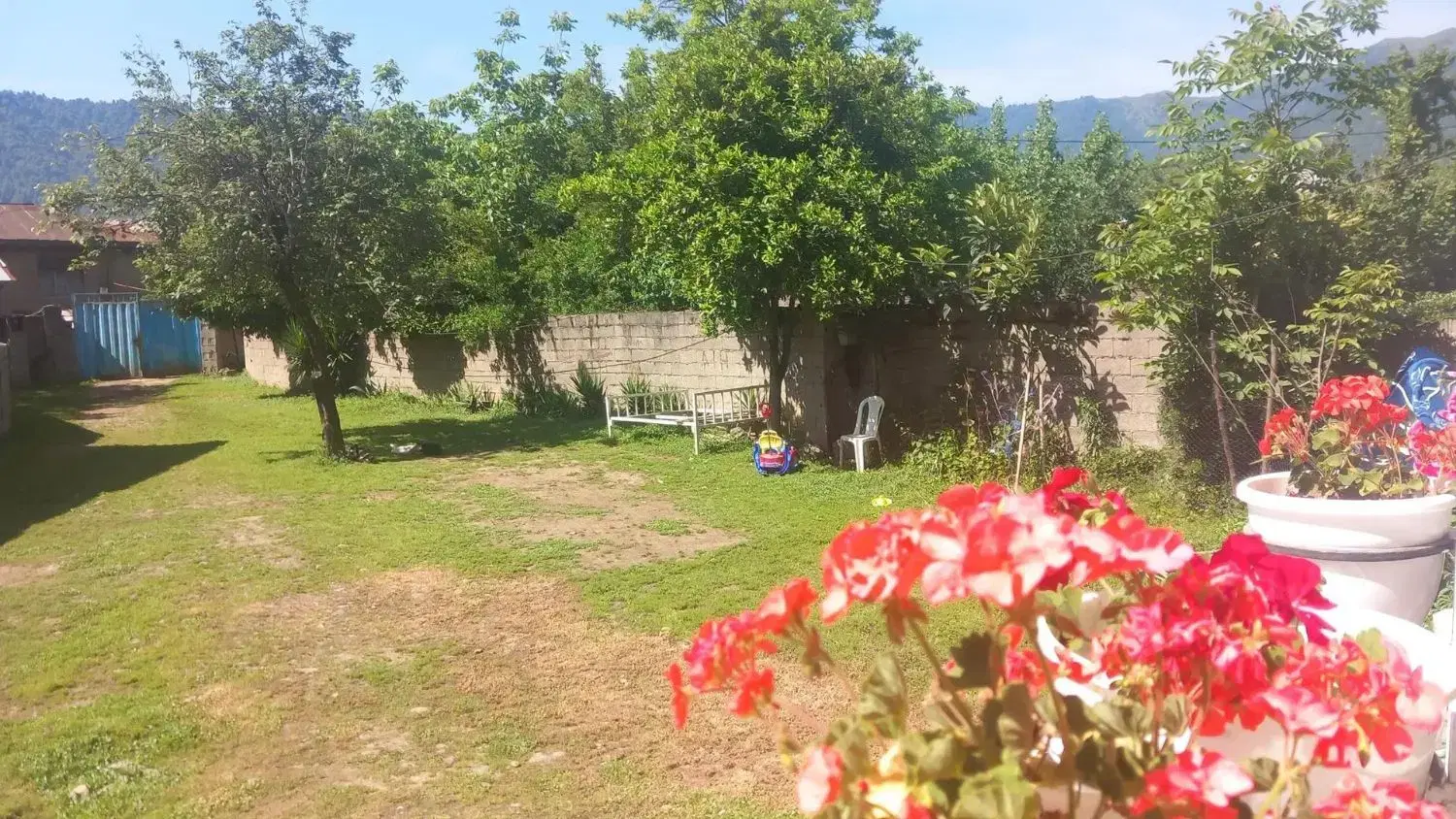 ویلا  جنگلی اجاره روزانه هفتگی