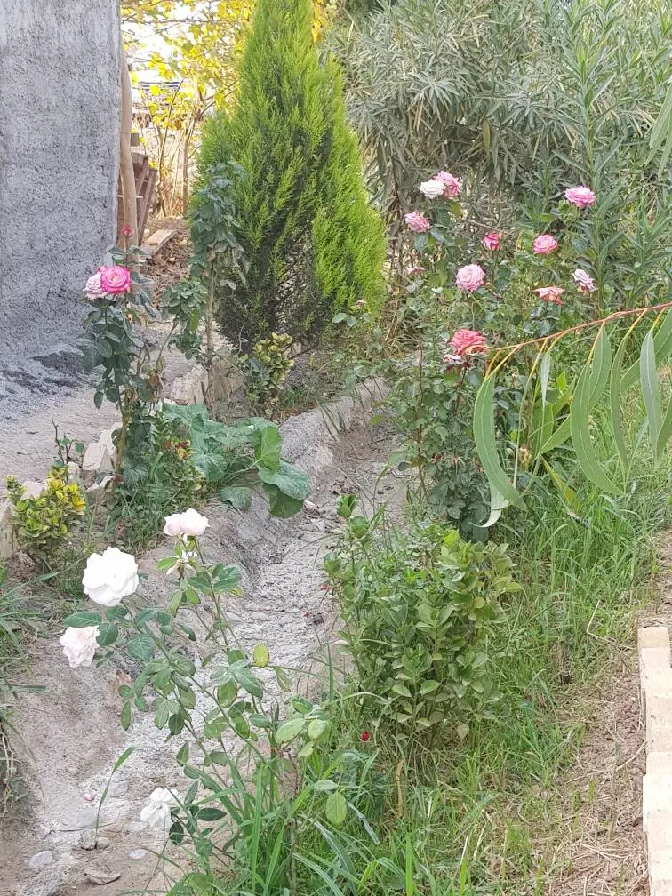 زمین برای باغچه و کشاورزی