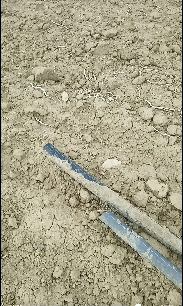 اجازه یا شراکت ۵هکتار زمین کشاورزی بارانی