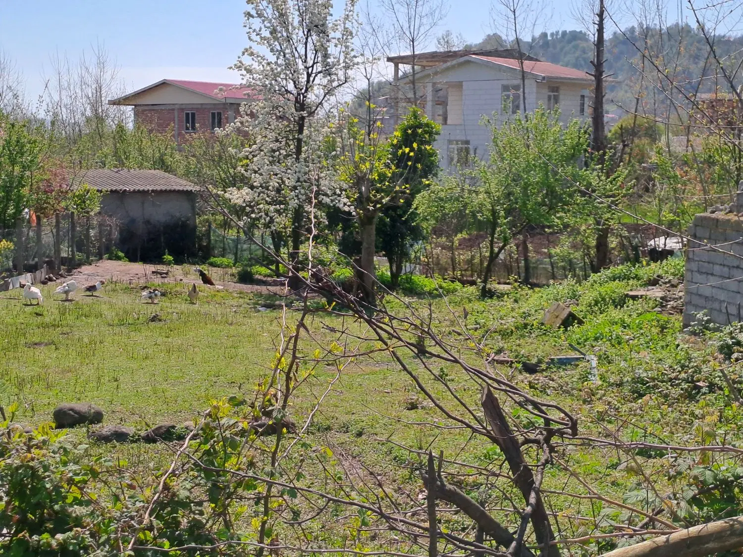 زمین فروشی