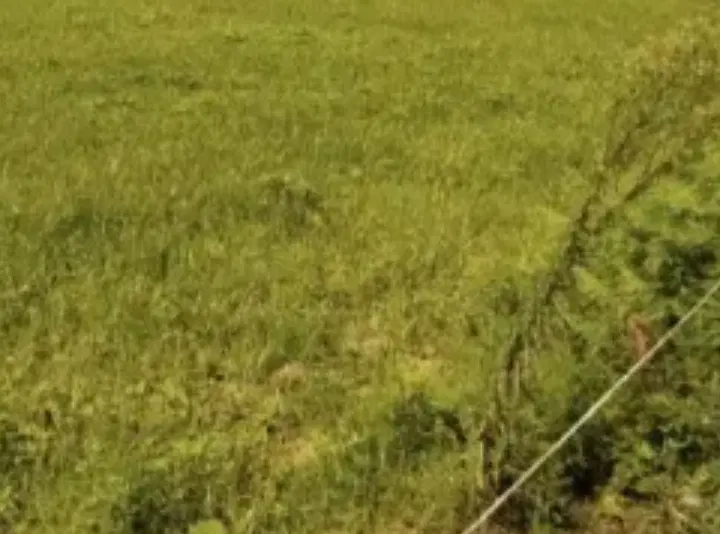 زمین با کاربری مسکونی و پروانه ساخت