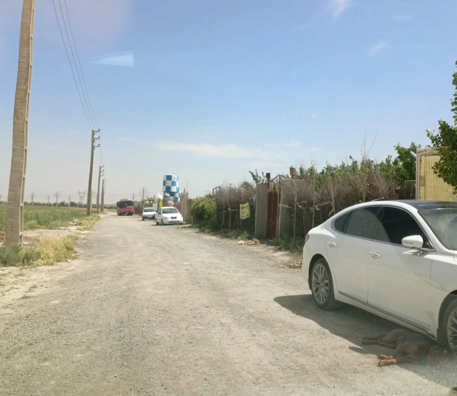 باغچه ۱۵ ساله 1577 متر
