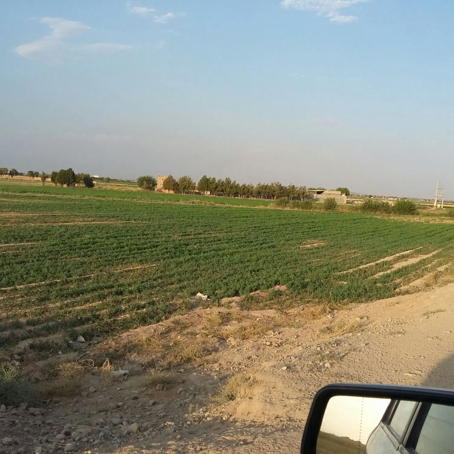 فروش زمین کشاورزی مناسب احداث گلخانه