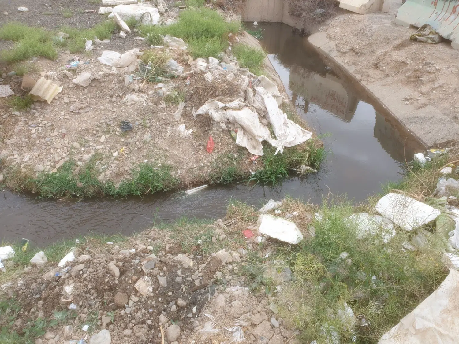 زمین  کشاورزی 1725