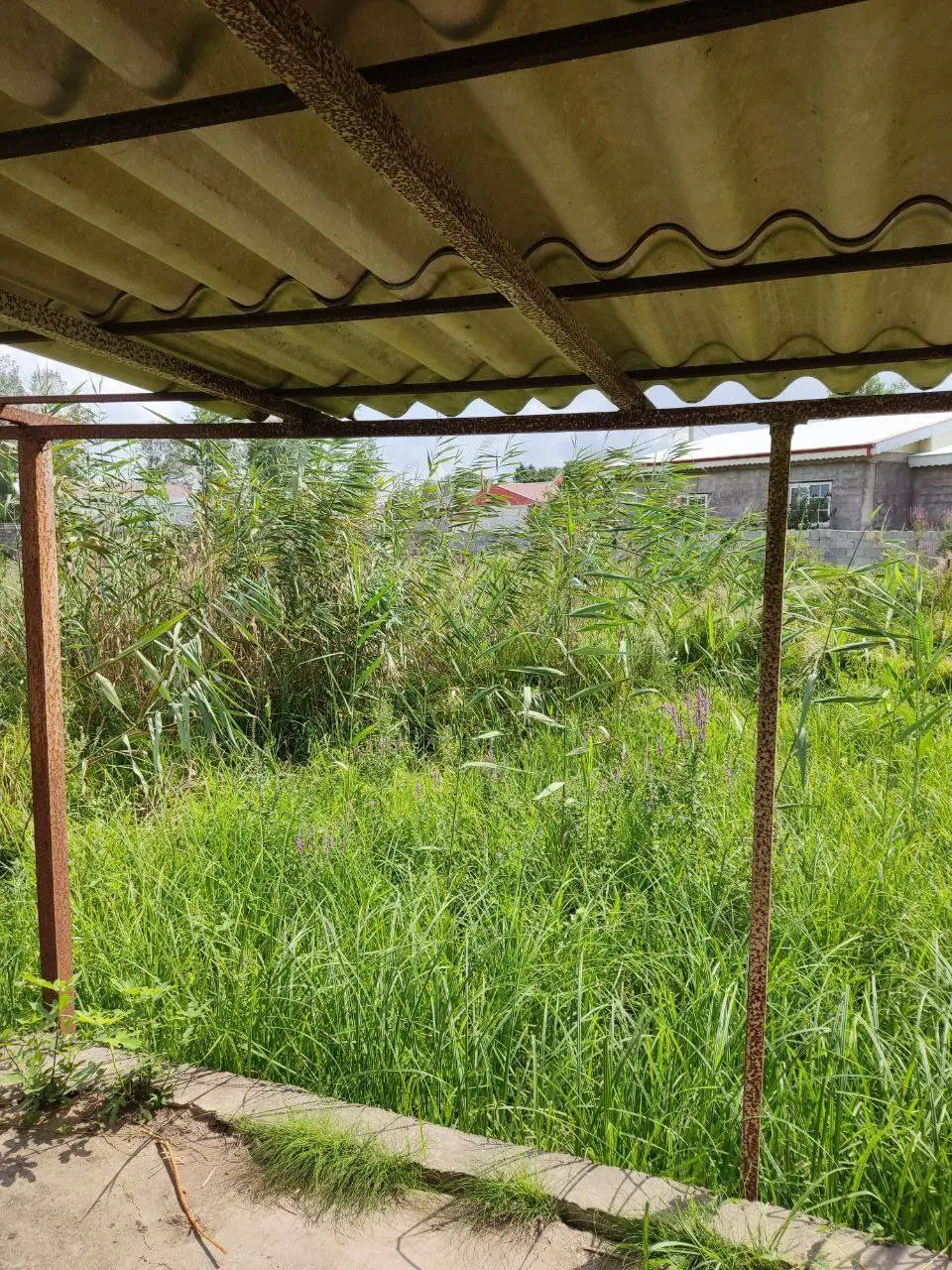 زمین (فرصت فوق العاده برای سرمایه گذاری)