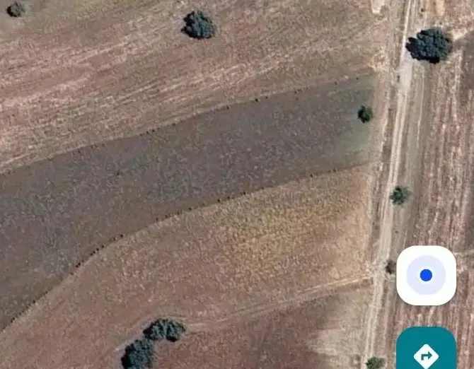 زمین کشاورزی گنداب