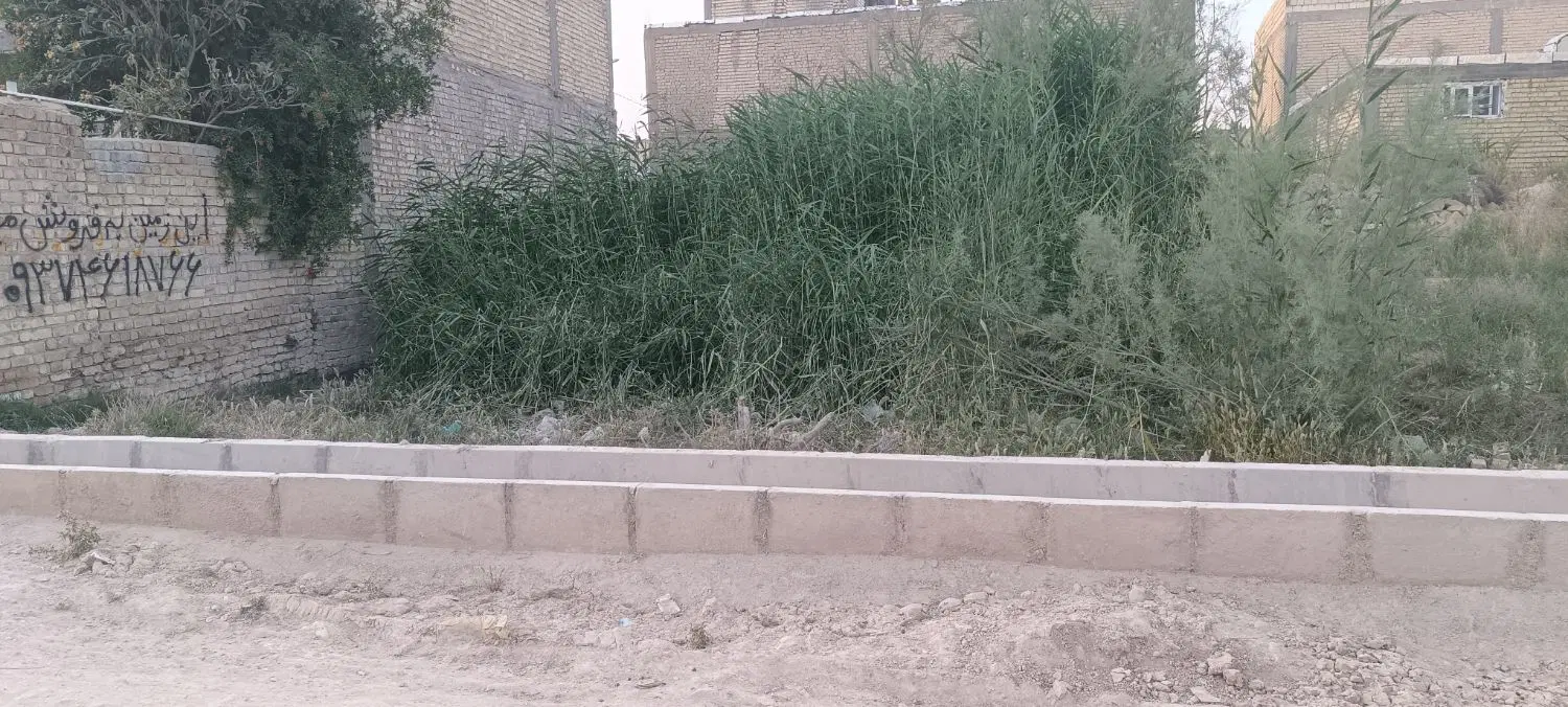 زمین کرونی