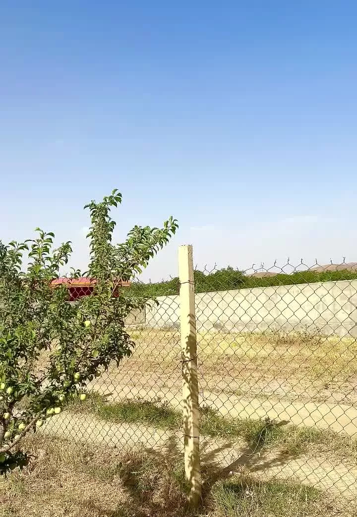 فروش باغ ۵۰۰ متری در چشین