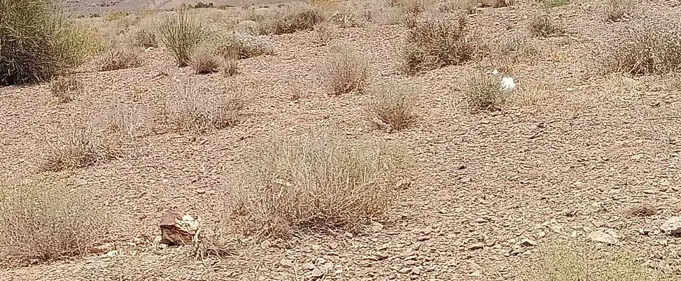 زمین شهربازی دوکله