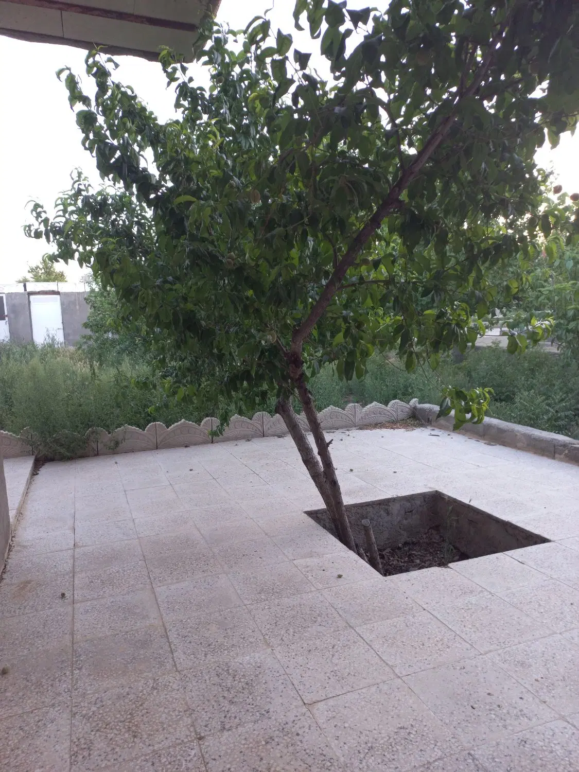 فروش باغشهری