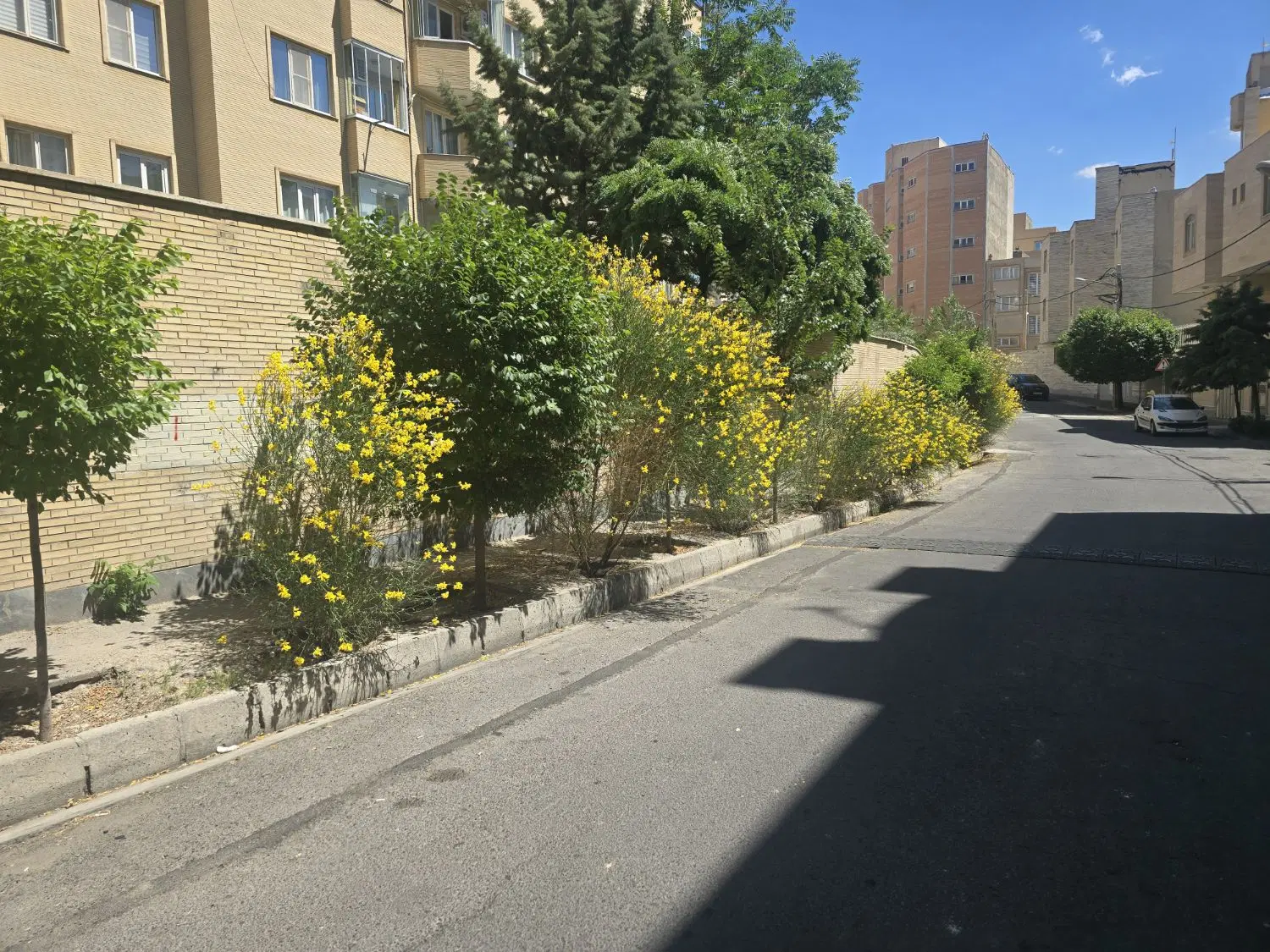 (۲عددجای مغازه واقع دربرجاده اسپیران)صوفیان