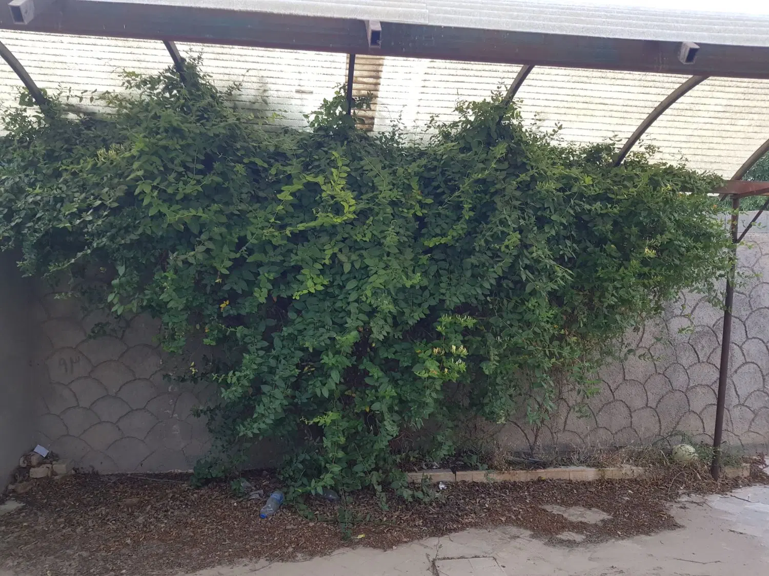 خونه ویلای گنبدواز
