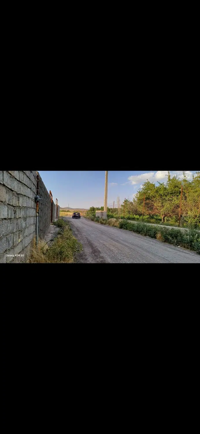 زمین باغی