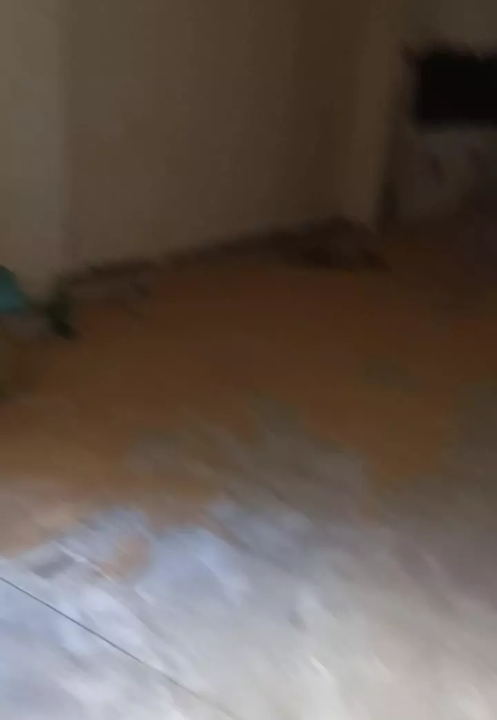 یکواحداپارتمان