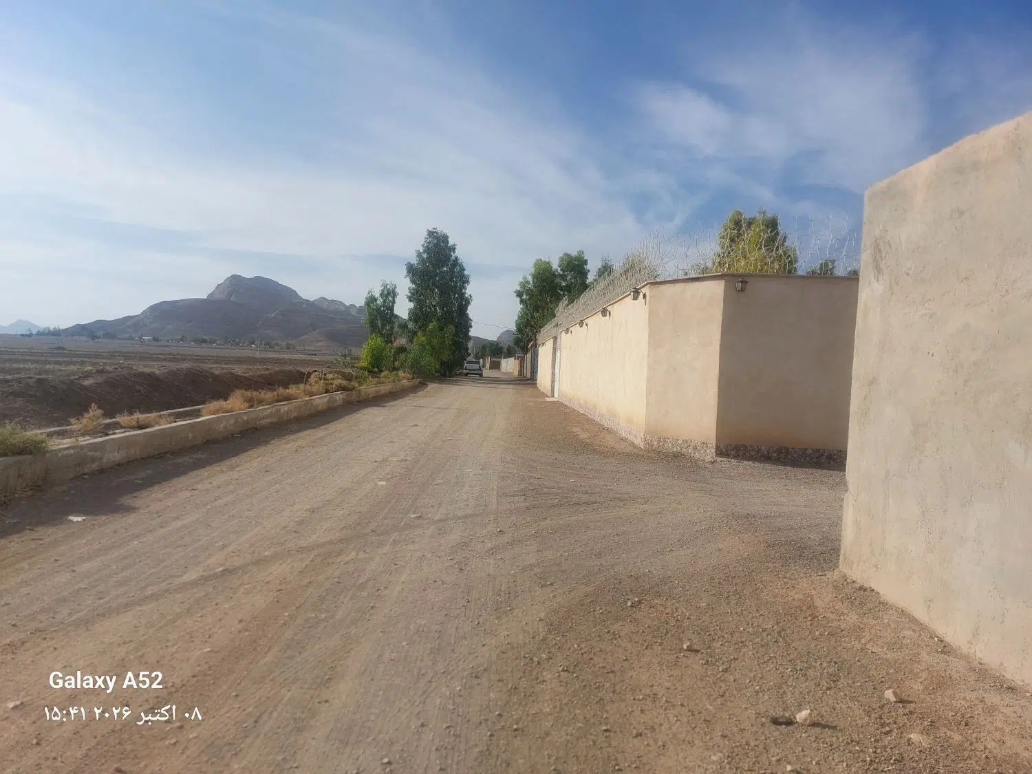 زمین باغی