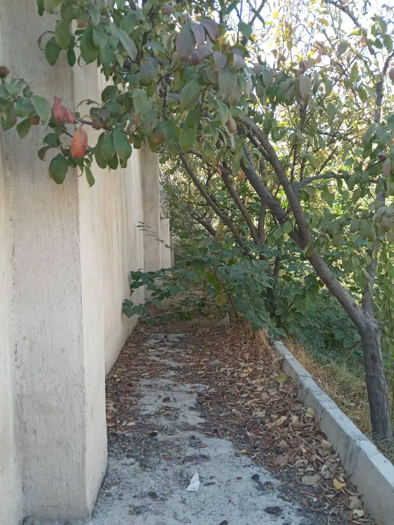 باغچه قلعه فرامرزیه