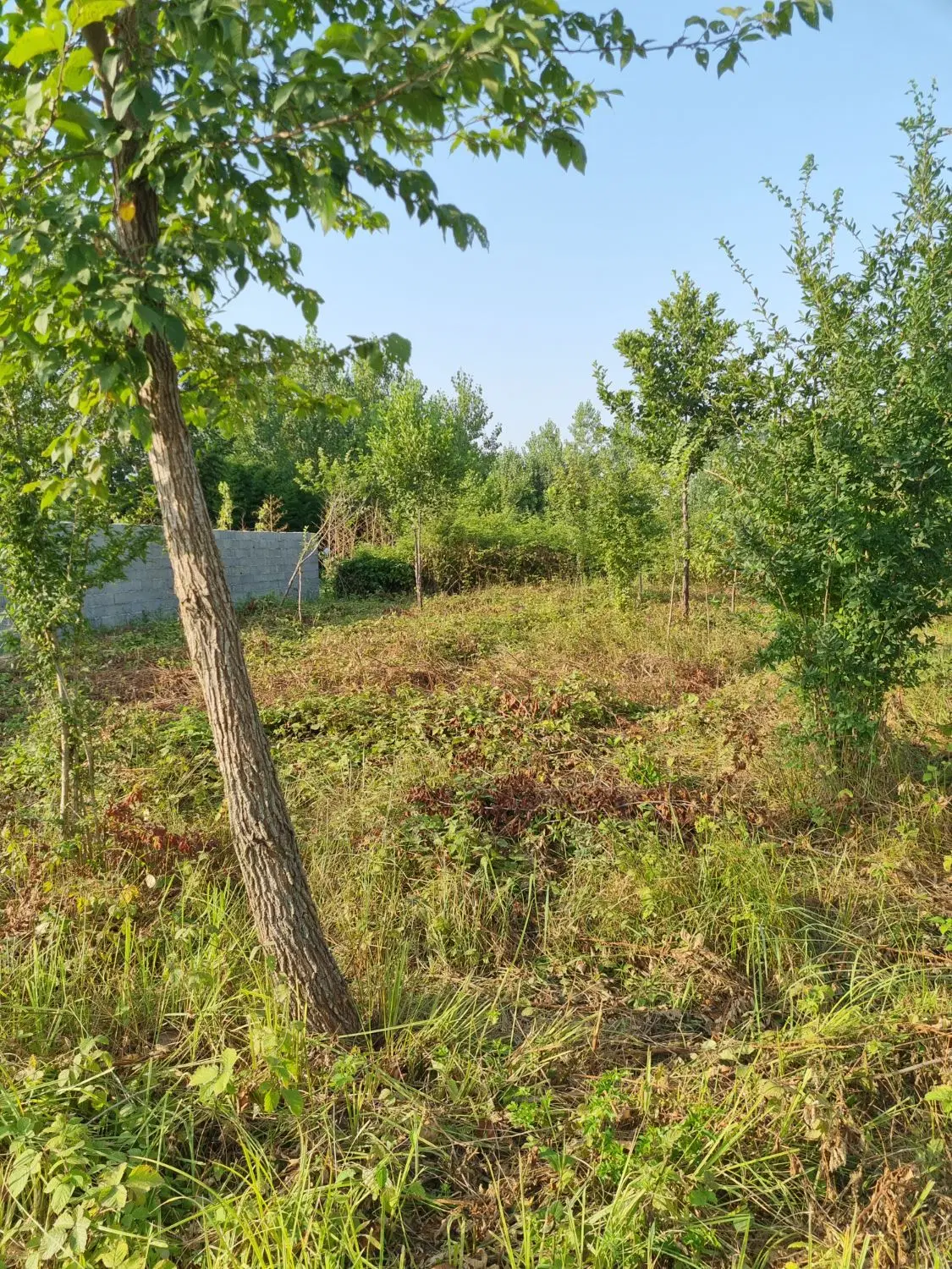 زمین شهری