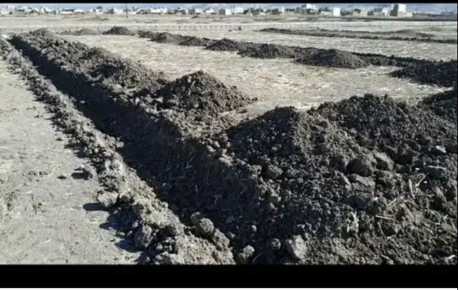 زمین