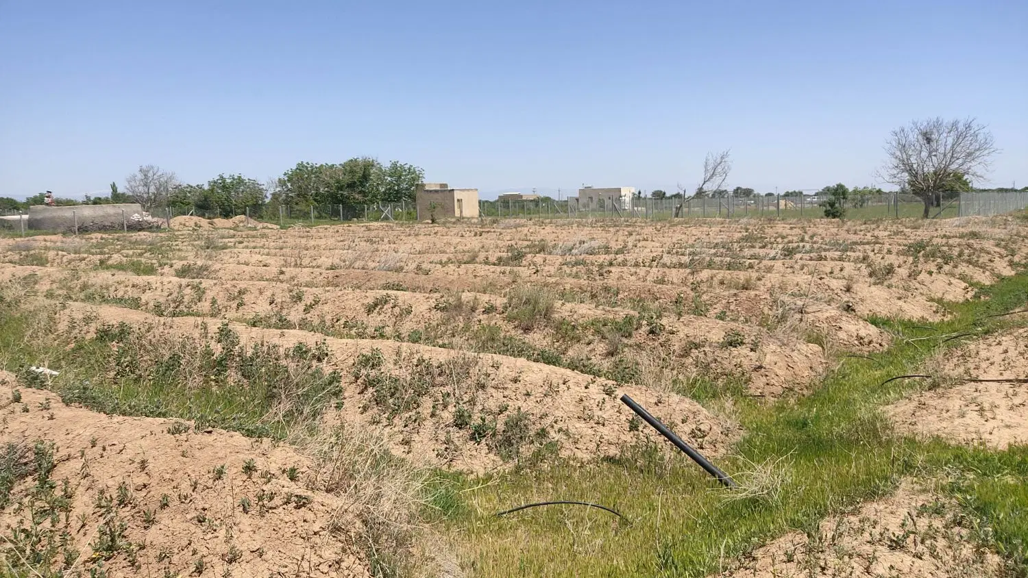 زمین ۳۰۰۰ مترمربع تاکستان