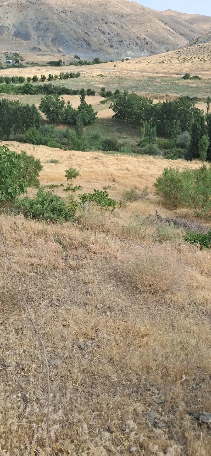زمین کشاورزی