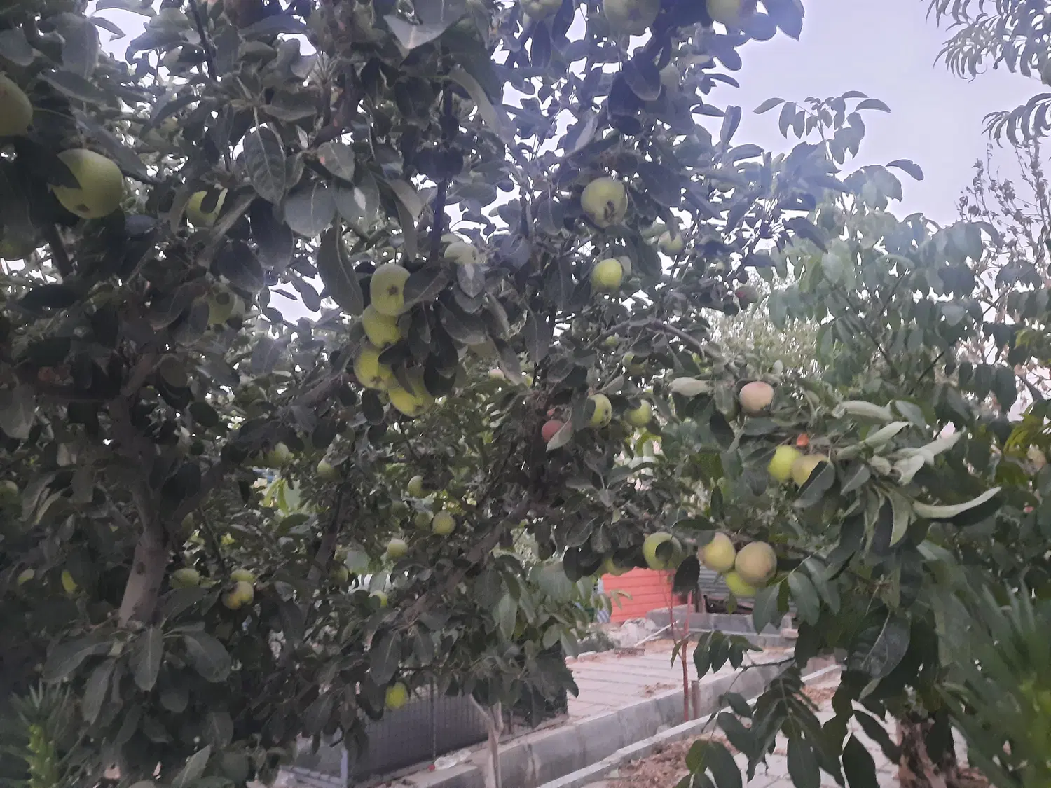 شهرصنعتی ۱۰۵ متری آسانسور دار