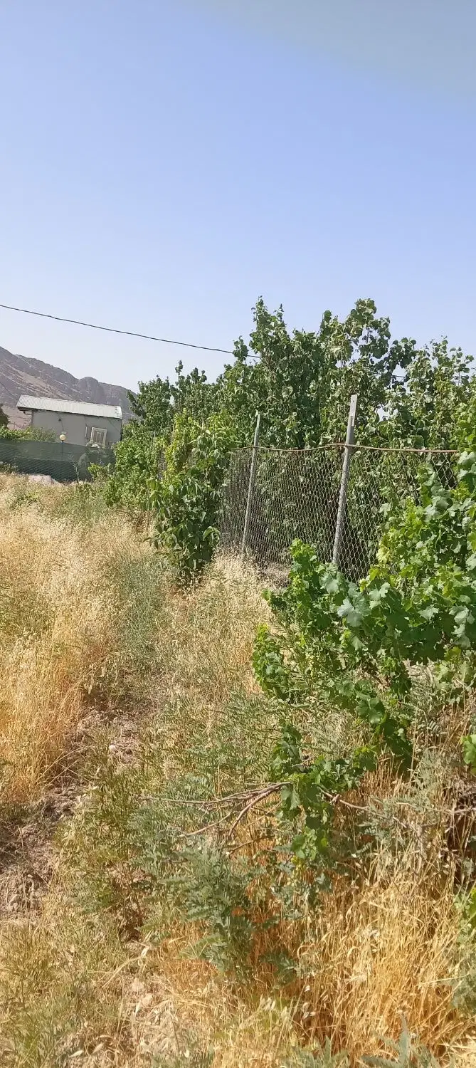 فروش ومعاوضه زمین باغچه ی