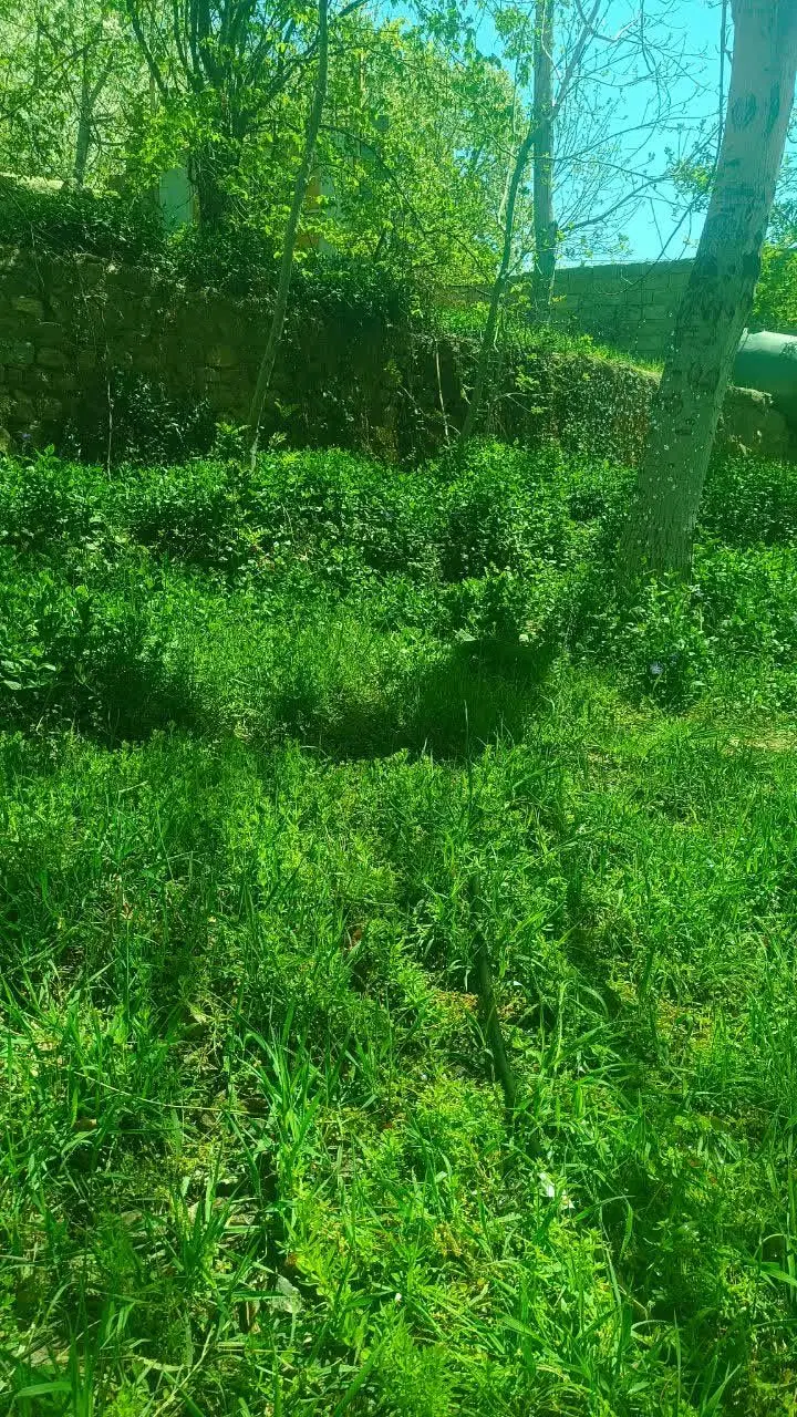 فروش ملک