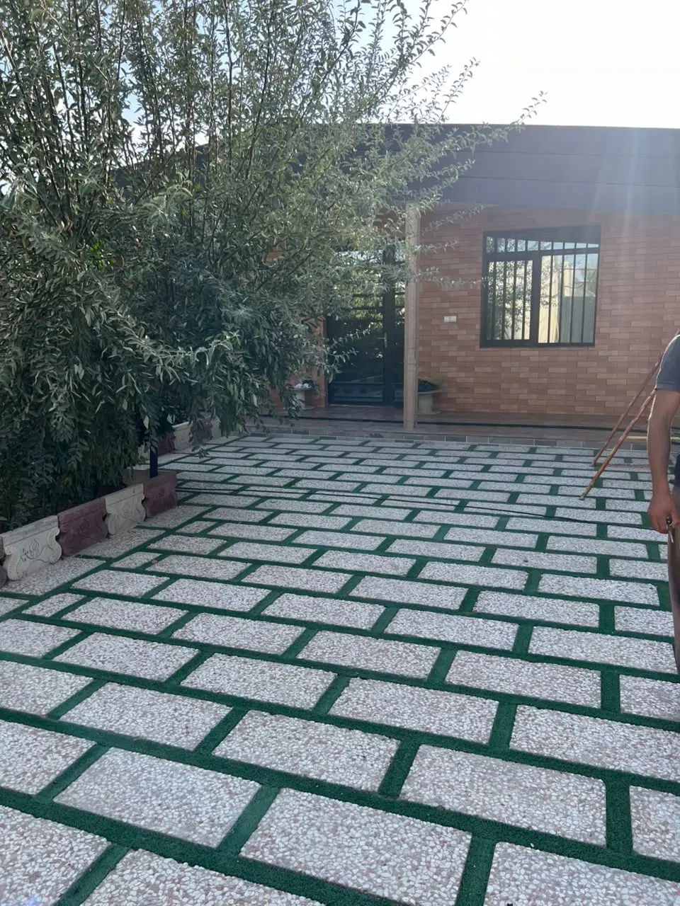 600متری جنگلی