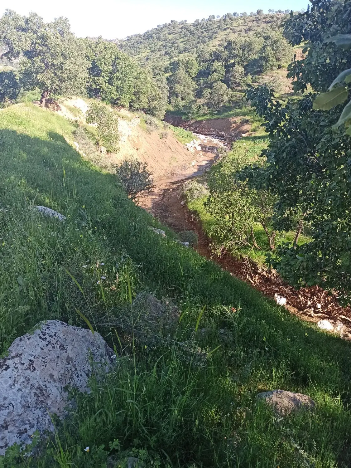 فروش زمین