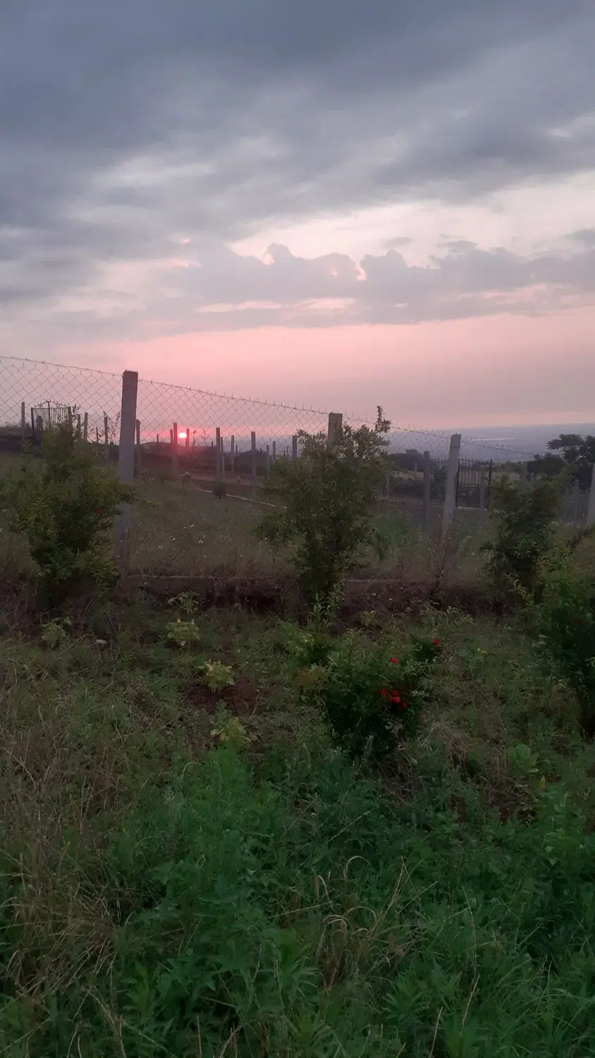 زمین ۱۴۰متری شموشک بادرخت انار جای دنج