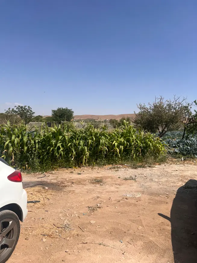 زمین ۶۰۰متری شهرکی جابان دماوند انشعابات سندتک برگ