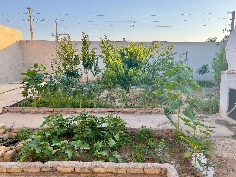 باغچه در ورامین باغخواص
