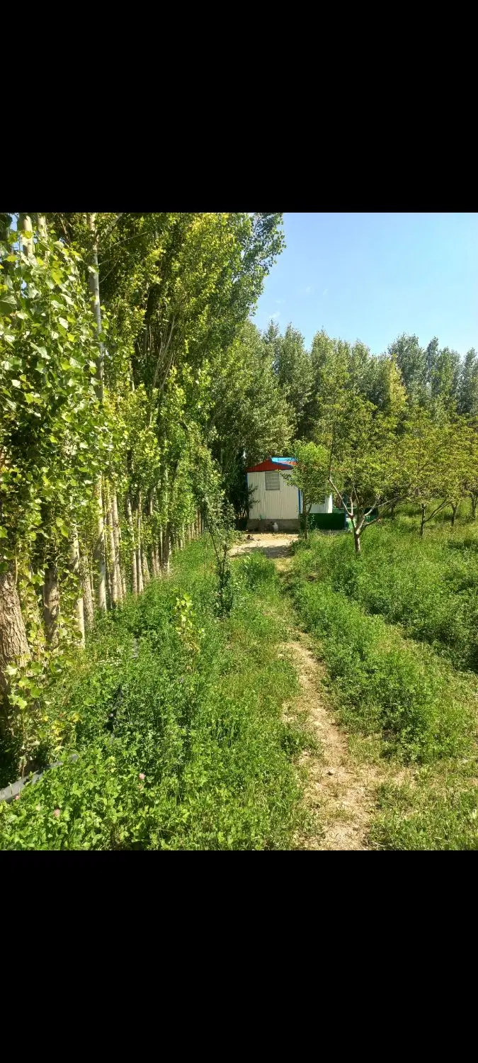 فروش باغ درنوران