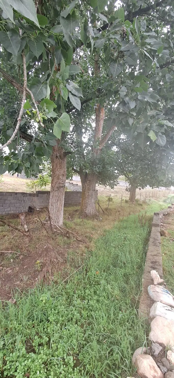 زمین ۱۴۰۰ متری کلاردشت کردیچال