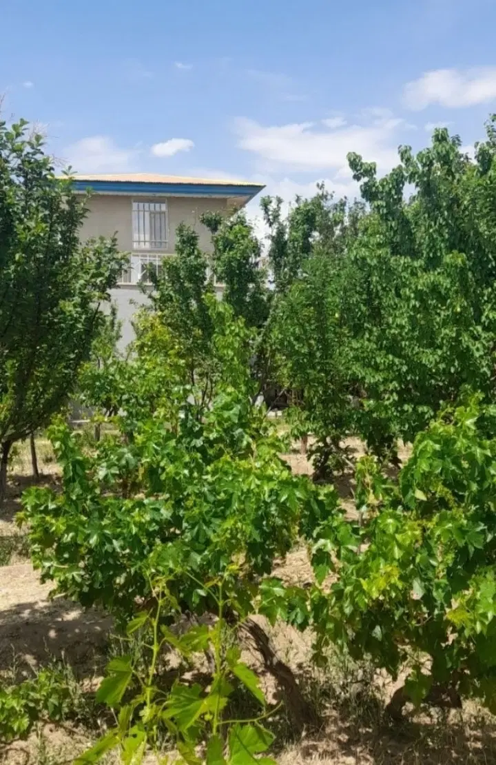 باغچه فروشی