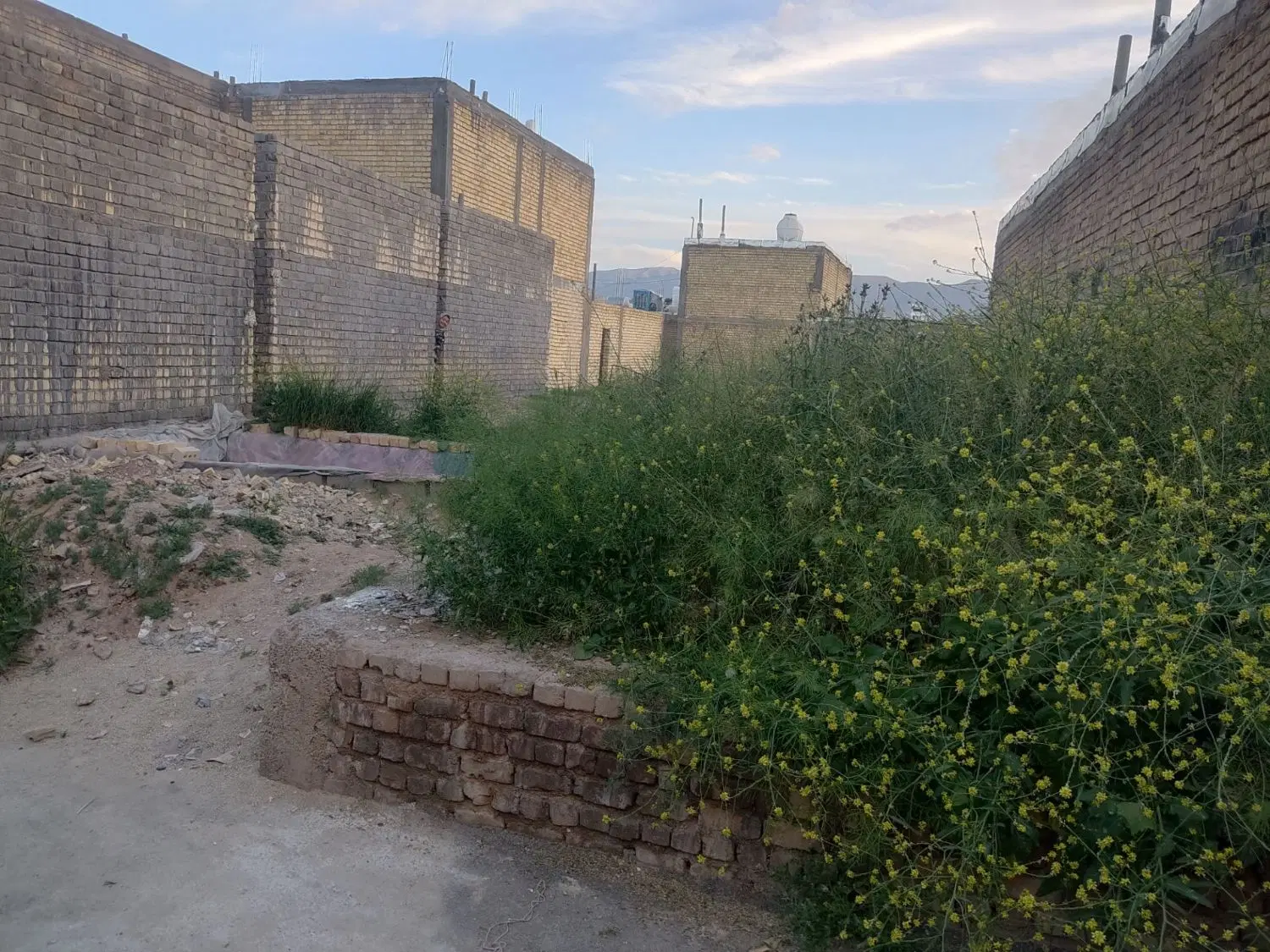 فروش زمین مسنی در سلطان اباد