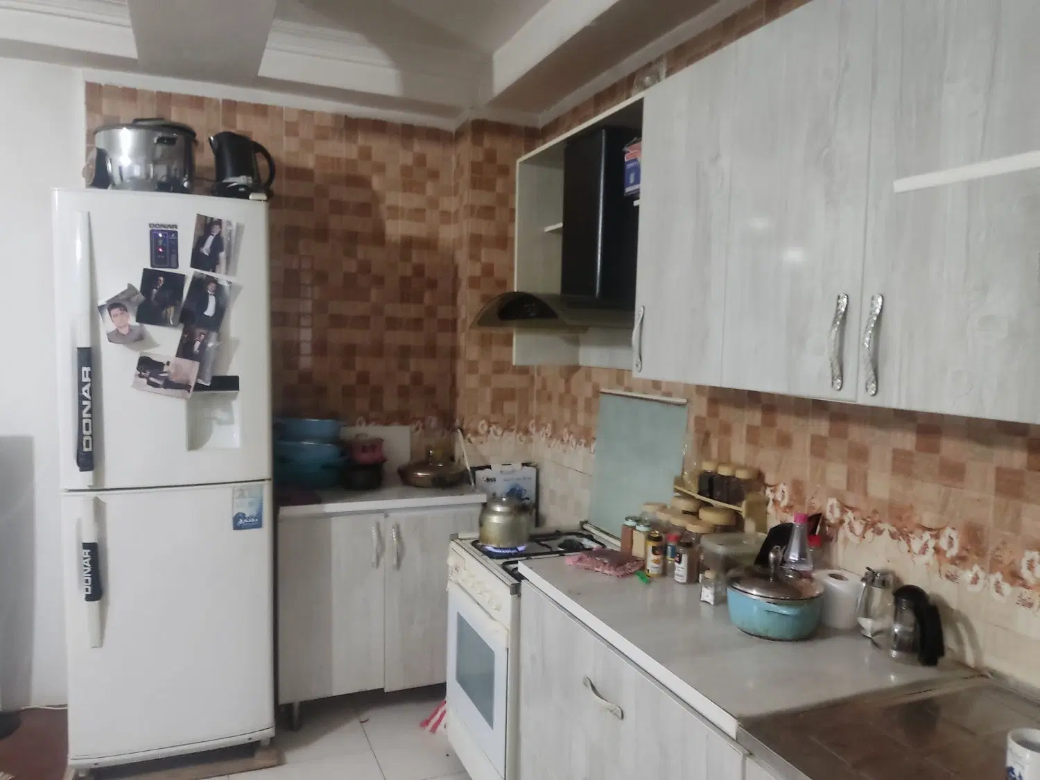 نیاز به همخونه اقا