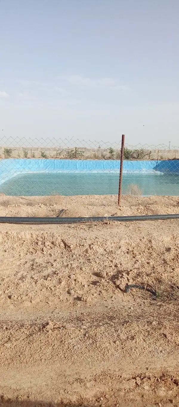 زمین با شرایط فوق العاده