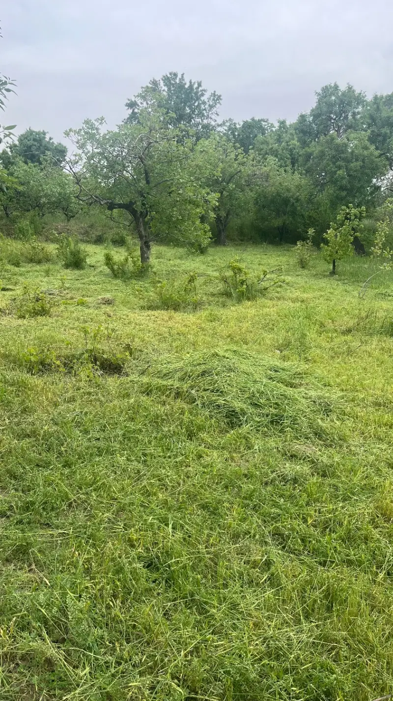 باغ سنتی بحر جاده