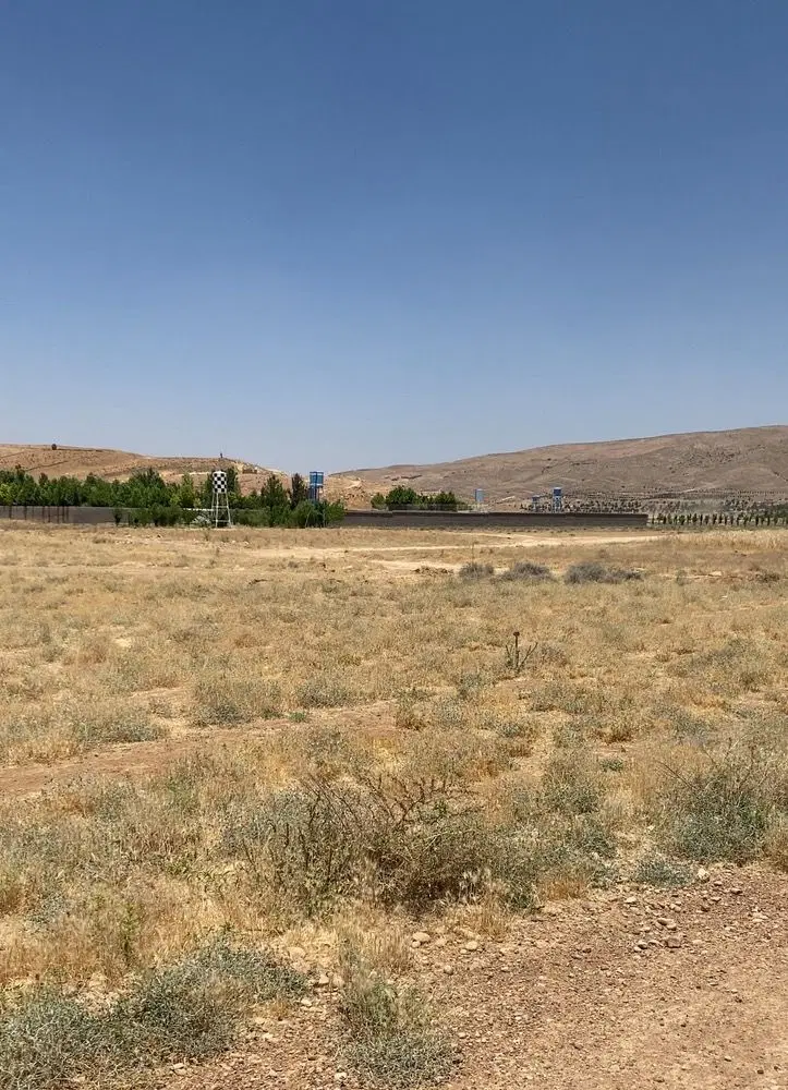 زمین باغی