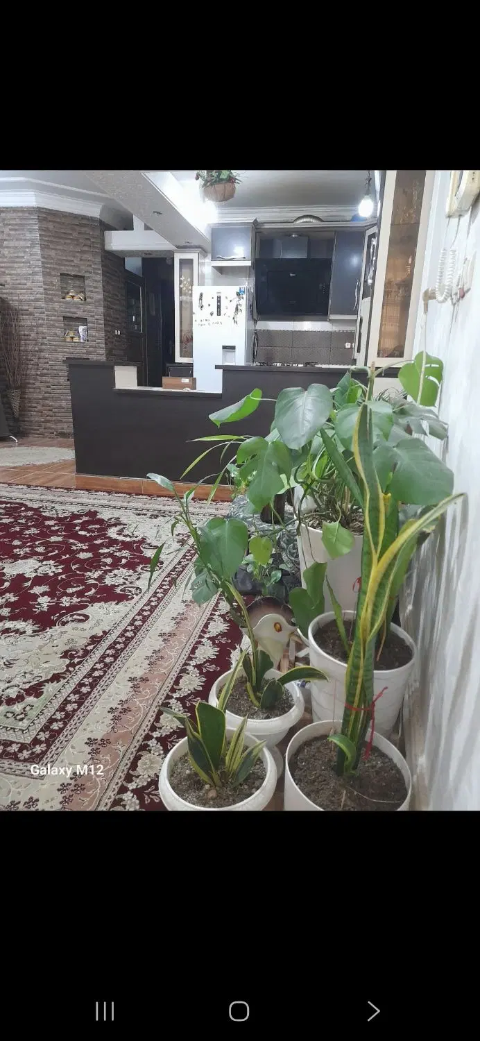 فروش منزل همکف