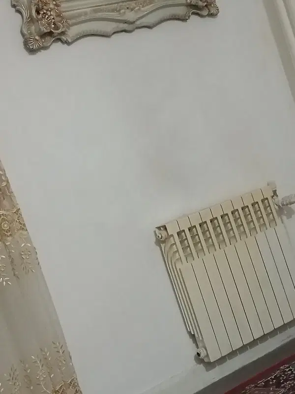 راهنمایی هم خونه همخانه